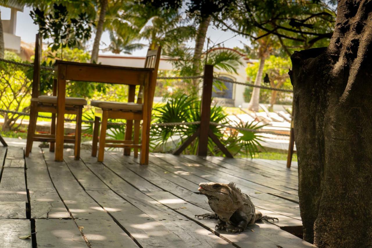 Marina Paraiso Isla Mujeres Hotel Екстериор снимка